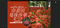 🚃特急で行く埼玉旅行🚃巾着田イベント✖️日高市栗🌰フェスティバル