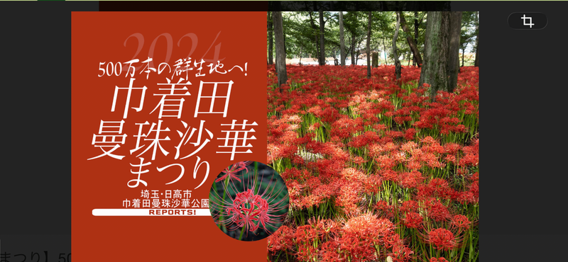 🚃特急で行く埼玉旅行🚃巾着田イベント✖️日高市栗🌰フェスティバル