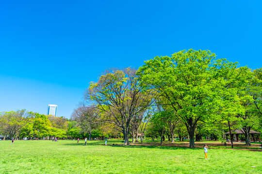 🌿 【20代限定】代々木公園ゆる散歩会