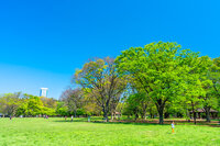 🌿 【20代限定】代々木公園ゆる散歩会