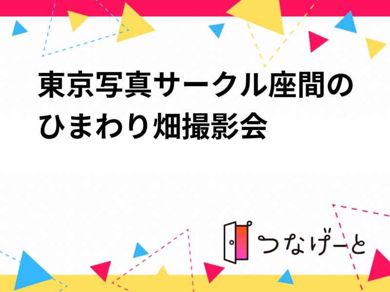 東京写真サークル座間のひまわり畑撮影会