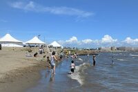 20代30代限定【葛西臨海公園】特別海水浴体験🌊
