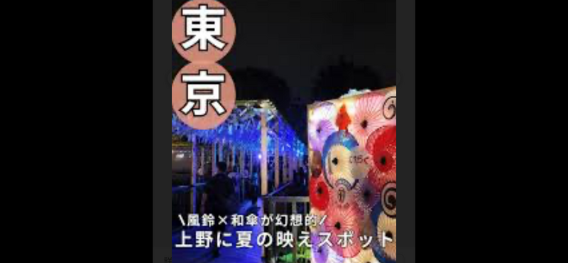 【最終日前夜上野公園で蓮の花観賞＆夏の風鈴さんぽ🎐夜活🌕で癒やしのひとときを体験！