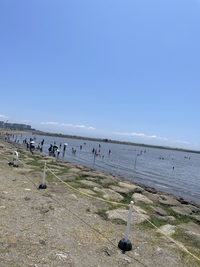 【葛西臨海公園駅集合】20代30代限定🌊夏満喫！みんなでワクワク海水浴DAY