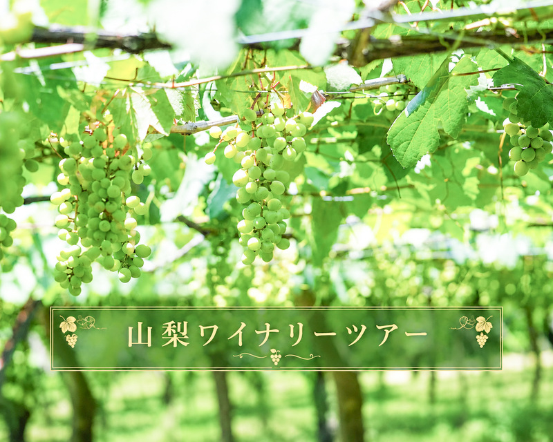 【初心者歓迎】日本ワインをもっと深く。
ワインマニアが厳選した山梨ワイナリーへ🍷