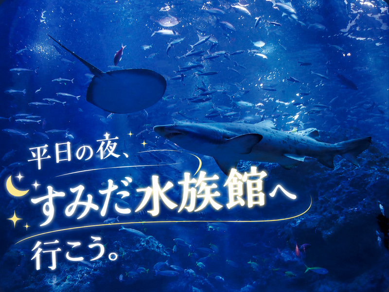 静寂と青の世界へ。仕事帰りに、夜のすみだ水族館へ行ってみよう🐟
