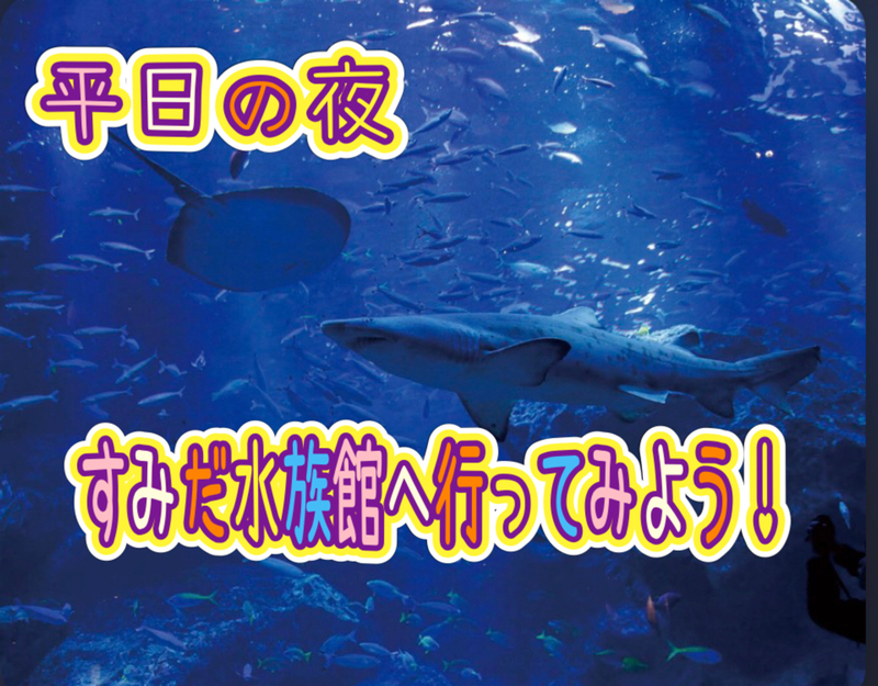 静寂と青の世界へ。仕事帰りに、夜のすみだ水族館へ行ってみよう🐟
