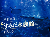 静寂と青の世界へ。仕事帰りに、夜のすみだ水族館へ行ってみよう🐟
