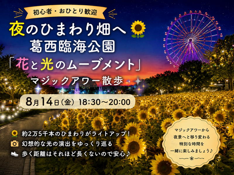 ​​【初心者・おひとり歓迎】夜のひまわり畑へ🌻葛西臨海公園「花と光のムーブメント」マジックアワー散歩