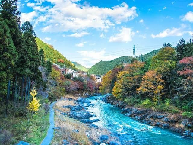 夏の終わりの【御岳渓谷】清涼ウォーキング！cafeに美術館も♪ハイキング初心者オススメ🔰