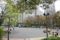 【6/26(日)新宿中央公園☀️】仲間と街歩き♪初夏限定リフレッシュお散歩イベント【おひとり様歓迎】