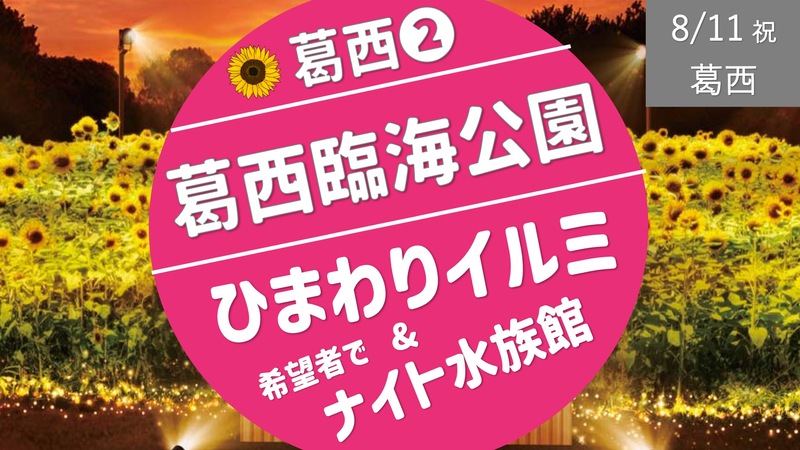[葛西②] ひまわり畑イルミネーション （＆希望者でナイト水族館？）