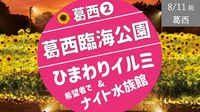 [葛西②] ひまわり畑イルミネーション （＆希望者でナイト水族館？）