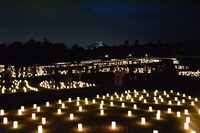 奈良公園の灯火イベントに行こう🌠