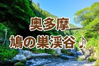 初心者歓迎☘️鳩ノ巣渓谷ハイキング&地元料理・希望者は温泉も