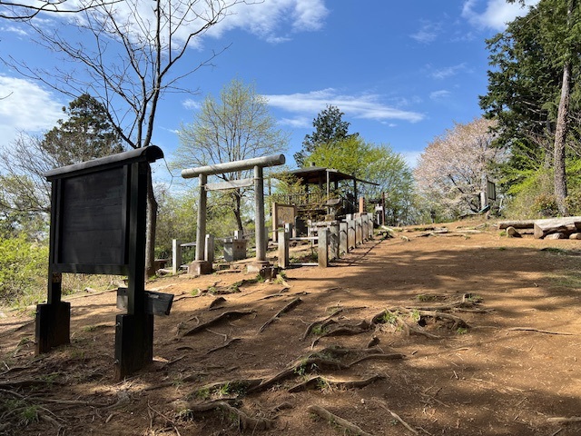 【登山初級者歓迎🔰】高尾山よりも静かな草戸山で爽快登山！＆磯沼牧場で絶品ソフトクリーム🍦を食べよう!