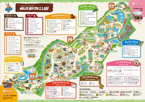東武動物公園🐯 20代・30代限定！3時間だけの特別共遊デイ～遊園地と動物園を一緒に楽しもう～