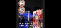 【最終日前夜上野公園で蓮の花観賞＆夏の風鈴さんぽ🎐夜活🌕で癒やしのひとときを体験！