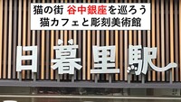 【ねこの街】猫カフェと愛猫家の彫刻美術館に行こう。日暮里・谷中ぎんざ商店街を散策〈8月8日(土)15:30〉