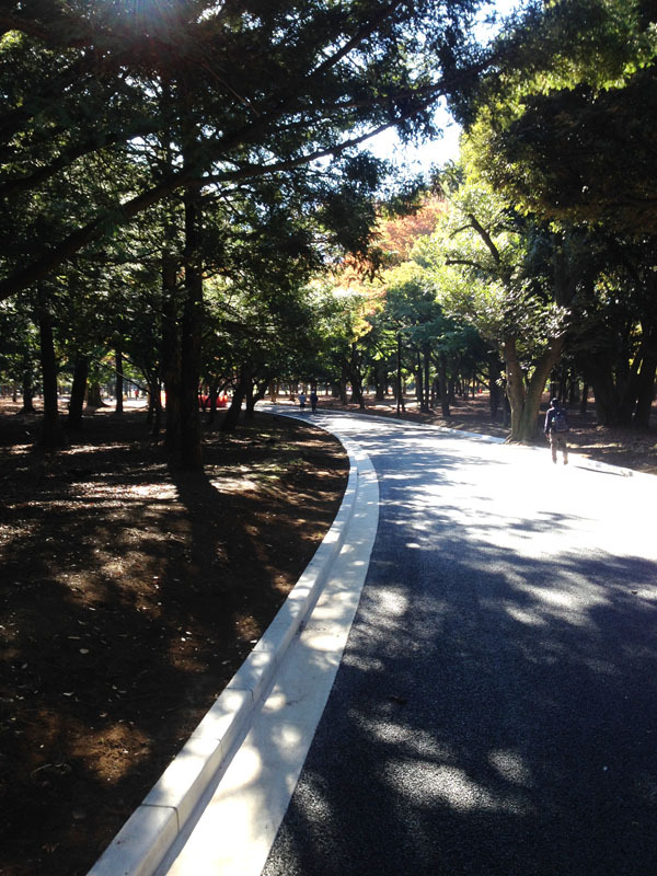 【20代限定】KAMOSHIKA RUN CLUB 🏃‍♀️代々木公園でランしよう🌳