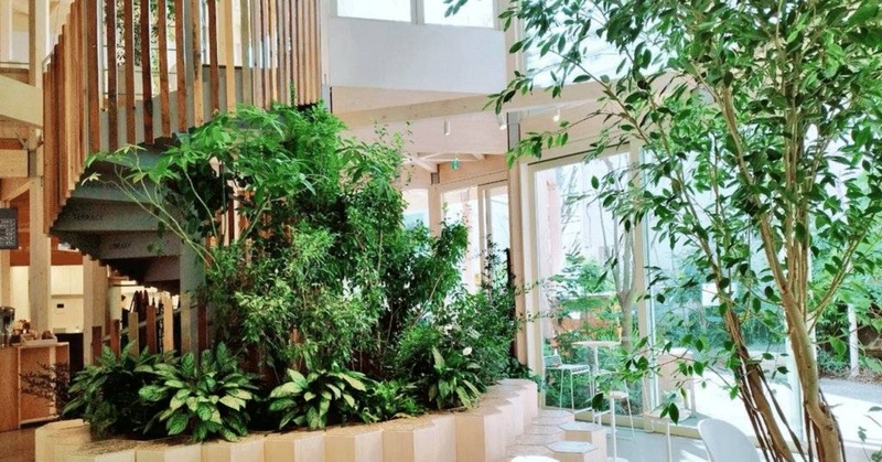 【20代30代限定】植物園のようなカフェに行こう🌹🌷
