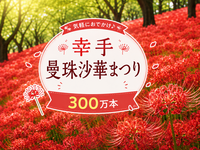 300万本の曼殊沙華の織り成す赤色の絶景を見に行こう！