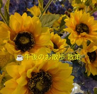 👟午後のお散歩.散策(天神橋筋商店街)✨