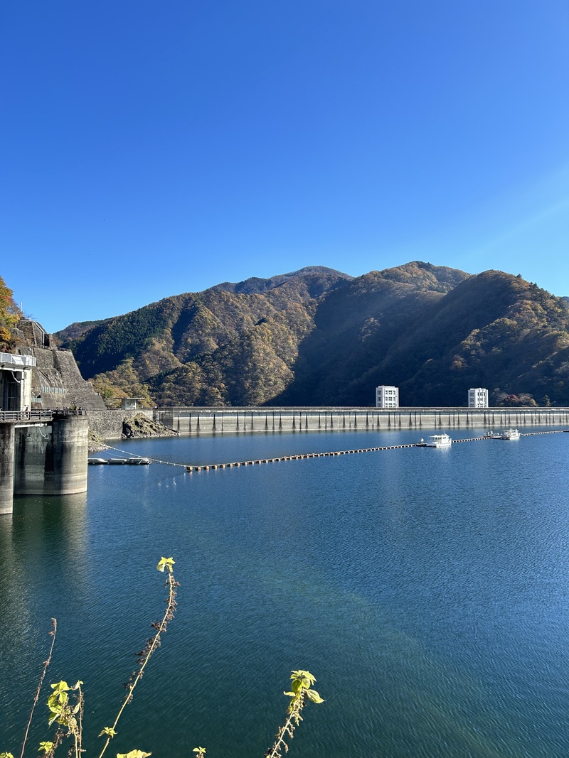 【東京最大の奥多摩湖🌲ここは東京？と思わせてしまう大自然イベント