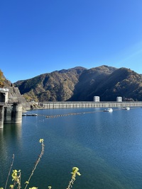 【東京最大の奥多摩湖🌲ここは東京？と思わせてしまう大自然イベント