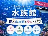 女性主催｜1人参加ほぼ100%｜すみだ水族館｜〜29歳限定｜友達作り