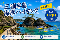 神奈川・三浦半島海岸ハイキングpart2🚶関東ふれあいの道で小旅行リフレッシュ体験🌊✨