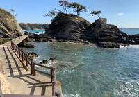 神奈川・三浦半島海岸ハイキングpart2🚶関東ふれあいの道で小旅行リフレッシュ体験🌊✨