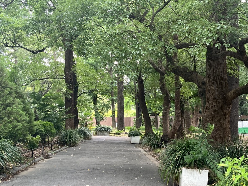 🚶🏻【日比谷公園】朝さんぽ と カフェトーク
