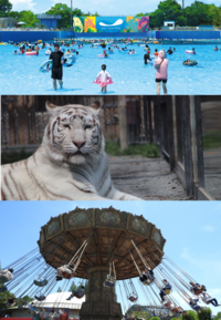 【東武動物公園】夏満喫プール＆遊園地＆動物園体験！友達づくりにもぴったり☀️🐧