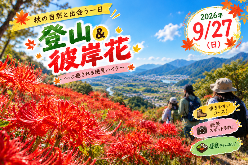 曼珠沙華祭り🏵️＆日和田山登山！初心者歓迎🔰圧巻の曼珠沙華の美しさと人気の低山縦走体験🪷

