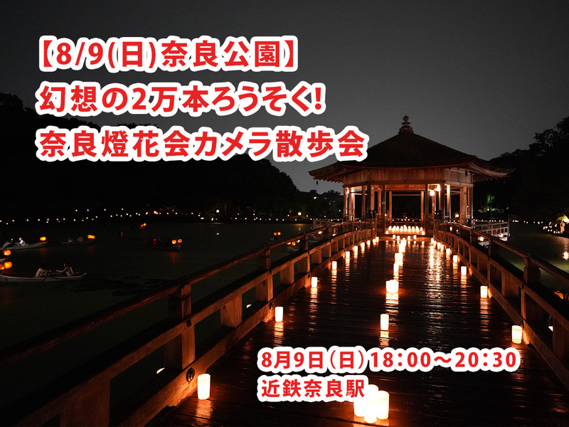 【8/9(日)奈良公園】幻想の2万本ろうそく！奈良燈花会カメラ散歩会📸初心者・一人参加歓迎