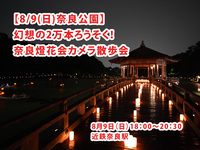 【8/9(日)奈良公園】幻想の2万本ろうそく！奈良燈花会カメラ散歩会📸初心者・一人参加歓迎