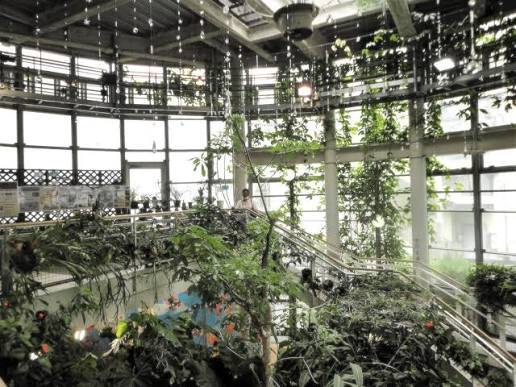 【8/8開催】渋谷区ふれあい植物園センター🌿100円で自然満喫！みんなで楽しむ夏限定・緑の癒やし体験✨