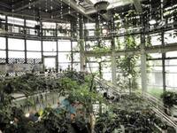【8/8開催】渋谷区ふれあい植物園センター🌿100円で自然満喫！みんなで楽しむ夏限定・緑の癒やし体験✨