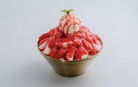 【20-30代女子限定🎀】新大久保のかき氷🍧を食べに行こう！