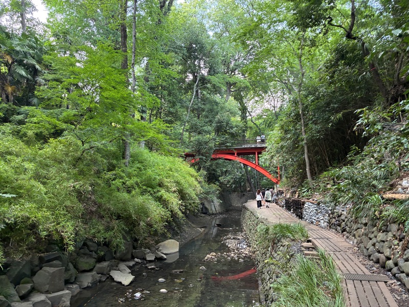 【8/15等々力渓谷ツアー🌿】10:00開催！自然と緑の癒し体験＆限定少人数ゆったり散策☀️