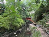 【8/15等々力渓谷ツアー🌿】10:00開催！自然と緑の癒し体験＆限定少人数ゆったり散策☀️