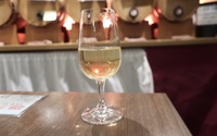 🍷✨ 【華金】ワイン好き集まれ！ワイン飲み放題が格安！！乾杯しませんか？ ✨🍷
