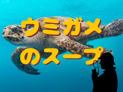 【女性企画】ウミガメのスープ会をやりましょ～😆‼️【平成生まれ】