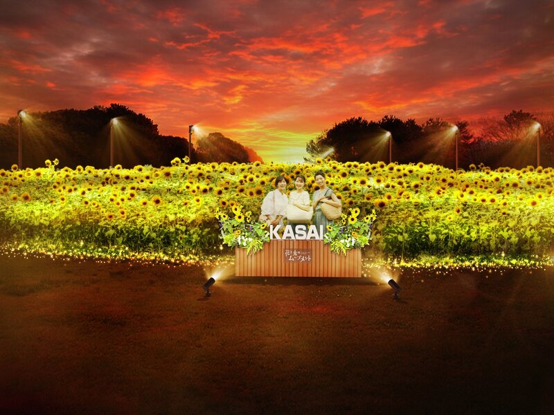 🌻約25,000本のひまわりと幻想的な光の世界へ✨