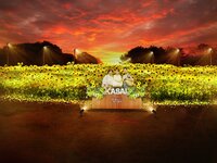 🌻約25,000本のひまわりと幻想的な光の世界へ✨