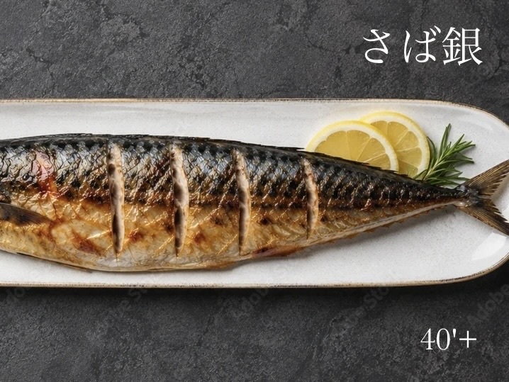 40'Plus 名物鯖料理とお酒を愉しむ夜