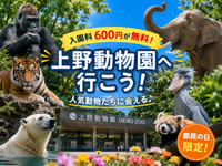 【入園無料】都民の日に上野動物園へいこう🦍🐘🦁🐯🐻