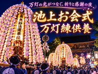 光の万灯が夜空を彩る！約30万人が訪れる池上本門寺「お会式」幻想ナイトウォーク