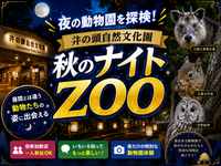 夜の動物園を探検！井の頭自然文化園「秋のナイトZOO」